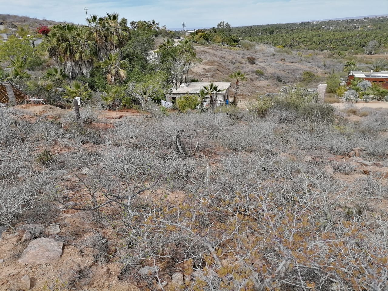 TERRENO EN VENTA EN TODOS SANTOS , "LA POZA"