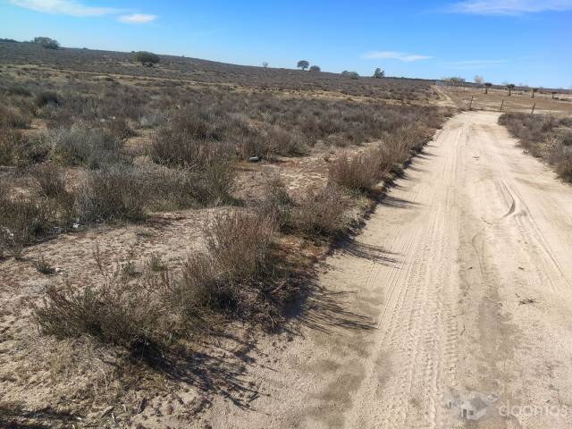 TERRENO PLANO DE 12 MIL M2, CERCA DE LA CASETA DEL HONGO, PARA RANCHO, NEGOCIO, CASA DE CAMPO...