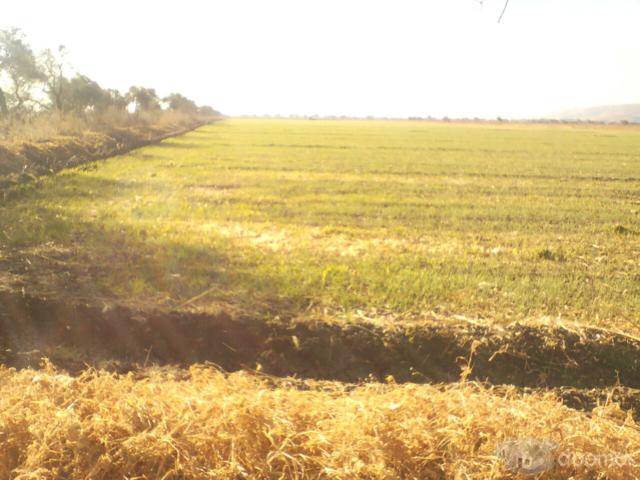 Rancho en venta Cuerámaro Gto.