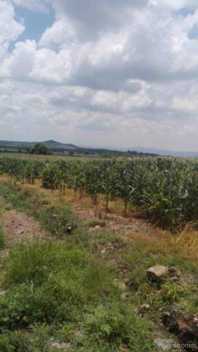 Rancho en venta Huanímaro Gto.