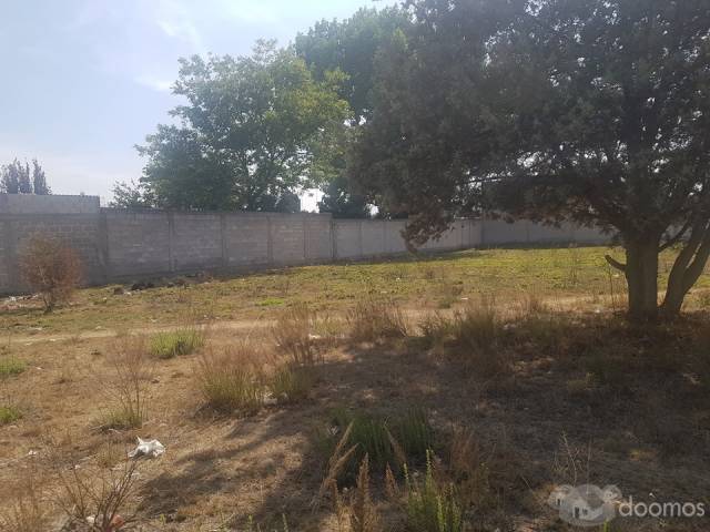 VENTA DE EXCELENTE TERRENO EN SANTIAGO TULANTEPEC