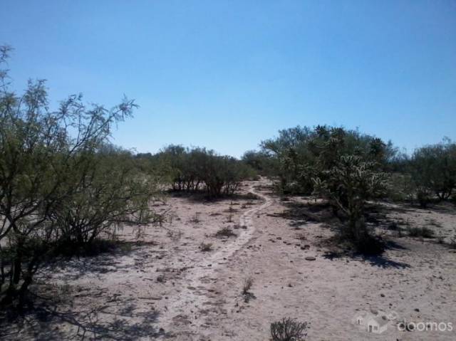 vendo en agua nueva saltillo 12 hectareas cerca de planta derramadero