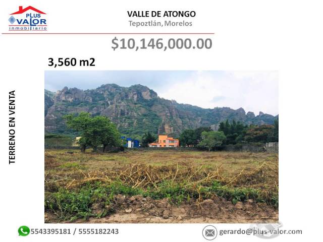 TERRENO EN VENTA EN TEPOZTLÁN VALLE DE ATONGO, EL TESORO