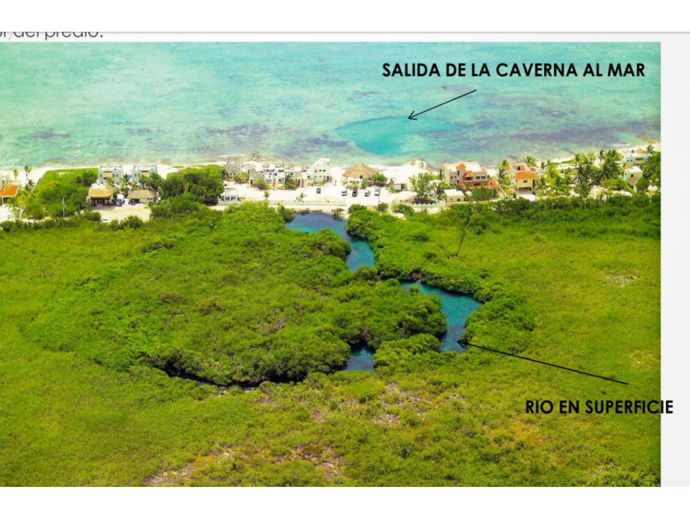 326 hectáreas, carretera, playa y 2 cenotes