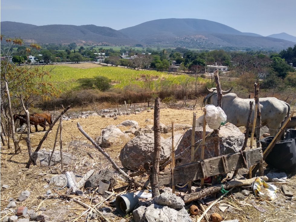 TERRENO EN COL. ALEJANDRA, TLALTIZAPAN