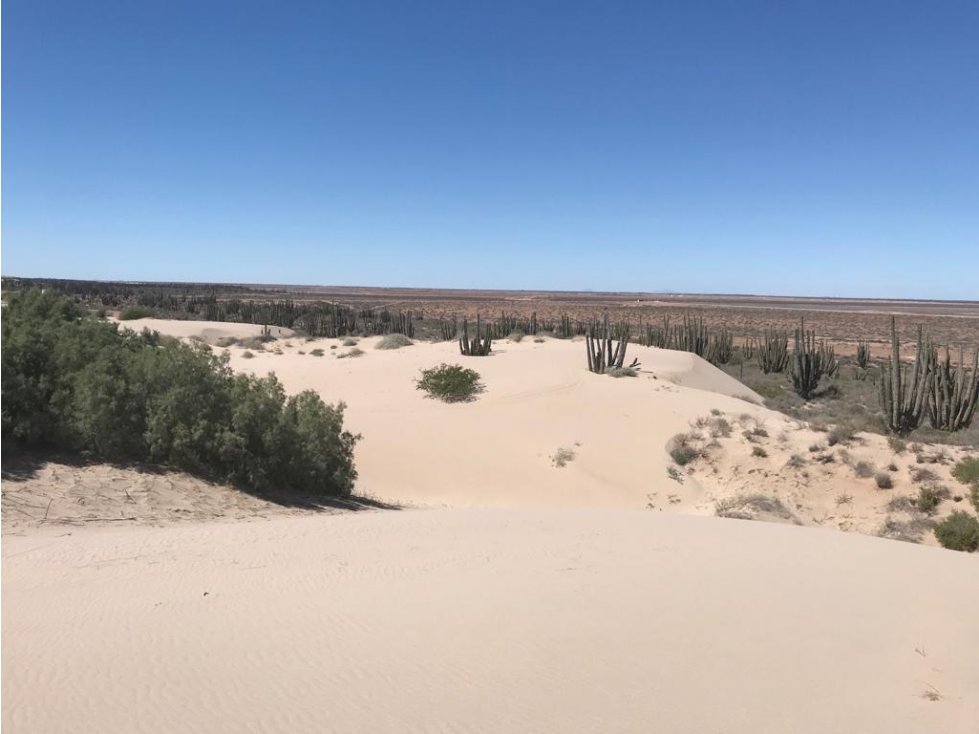 Terreno de 523 Hectáreas en la playa de BAHIA DE KINO Sonora