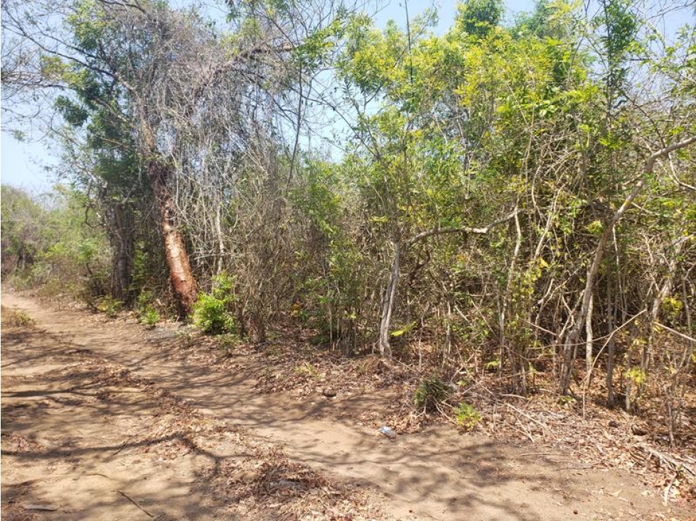 TERRENO MUY CERCA DE LAGUNA  CONSTRUIR VILLAS ECOLOGICAS 20,000