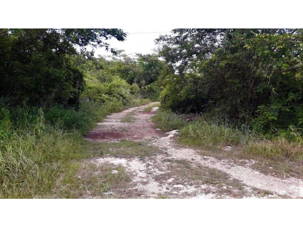 VENTA DE TERRENO EN KOMCHEN YUCATÁN