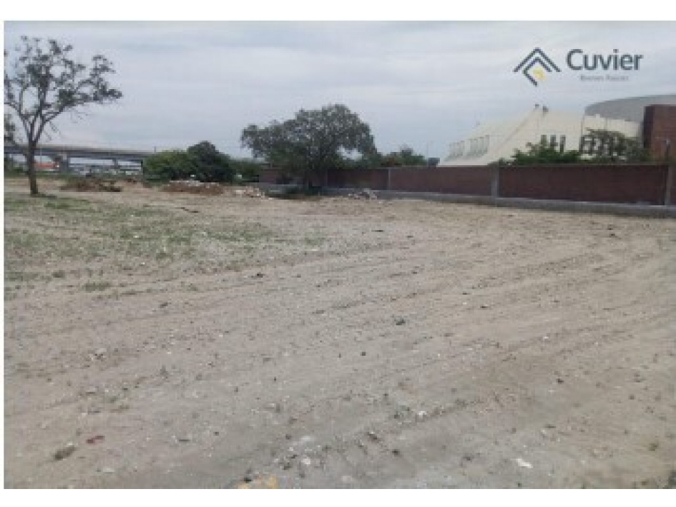 TR554-VG TERRENO EN RENTA, ALTAMIRA-BLVD. DE LOS RIOS