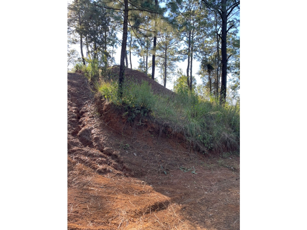 Hermoso Terreno céntrico con vista panorámica al bosque de mazamitla