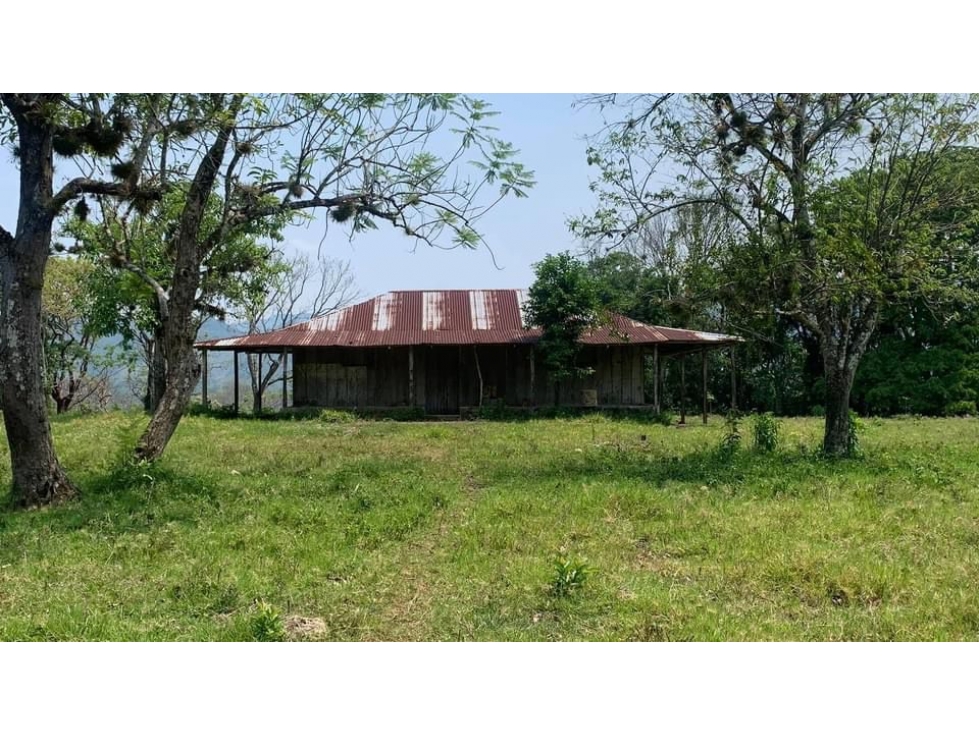 SE VENDE RANCHO GANADERO DE 190 HECTAREAS EN PALENQUE CHIAPAS.