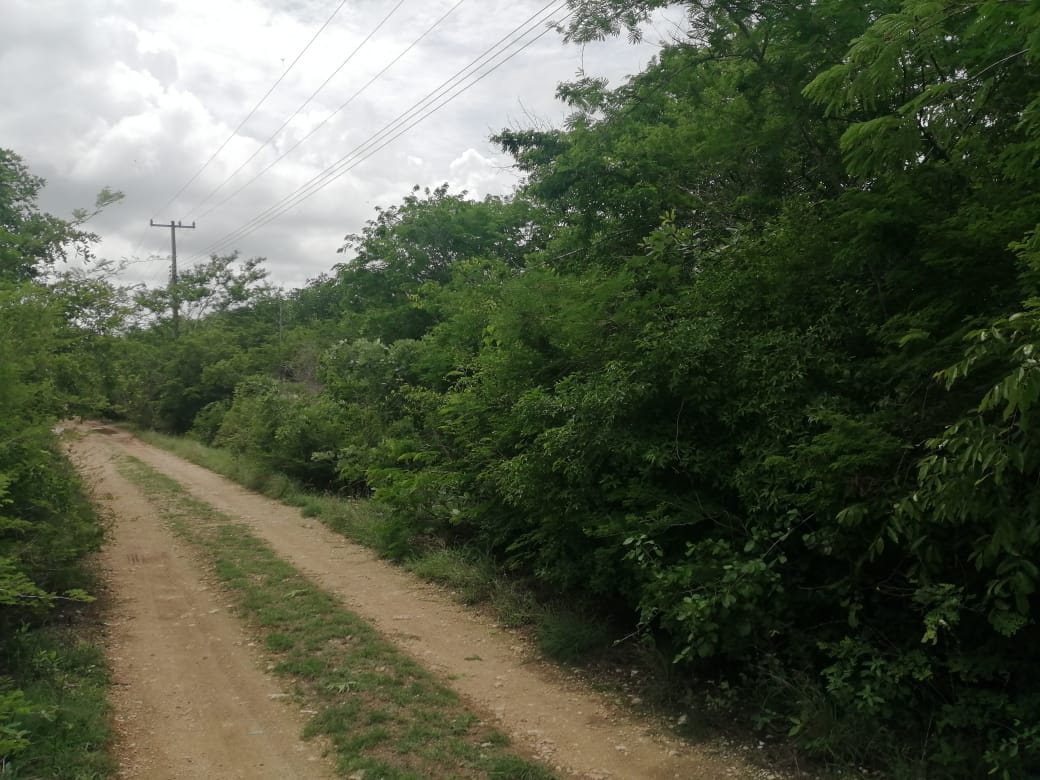 TERRENO DE 4,000m2 UBICADO EN CHABLEKAL, AL NORTE DE LA CIUDAD