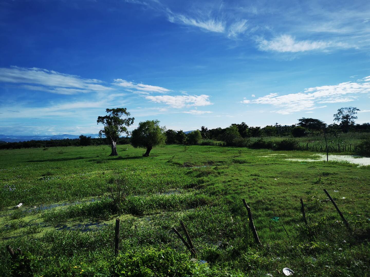 Terreno Acapulco espaldas colosio